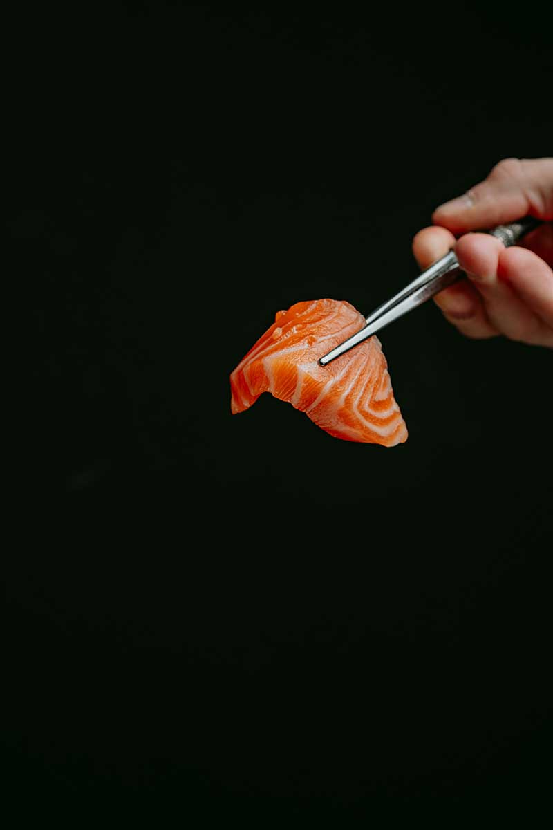 salmon piece vertical